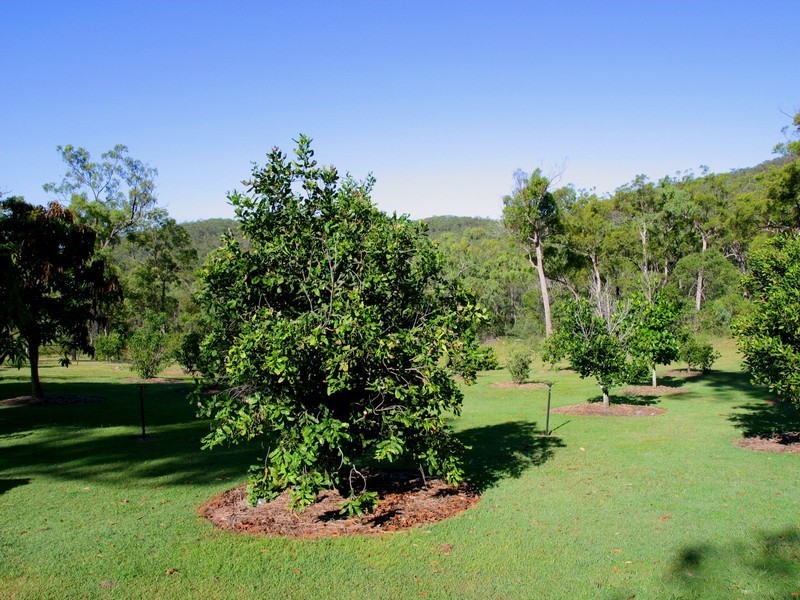 Agnes Water QLD 4677