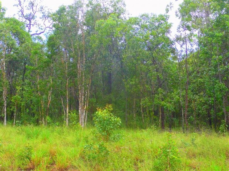 Agnes Water QLD 4677