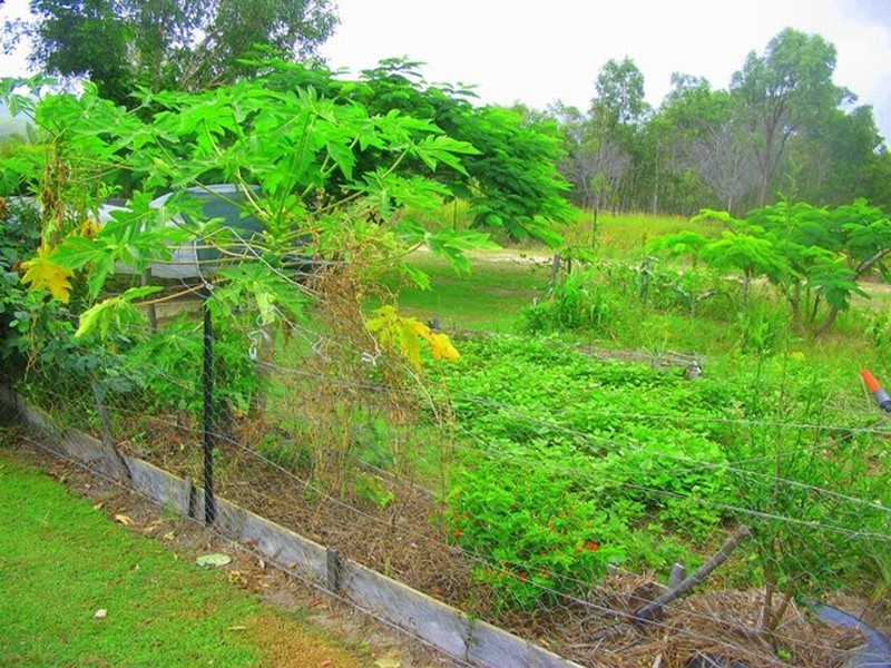 Agnes Water QLD 4677