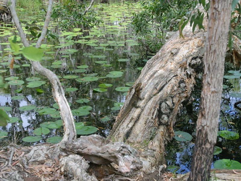 Agnes Water QLD 4677