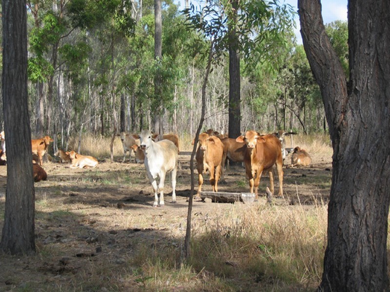 Agnes Water QLD 4677