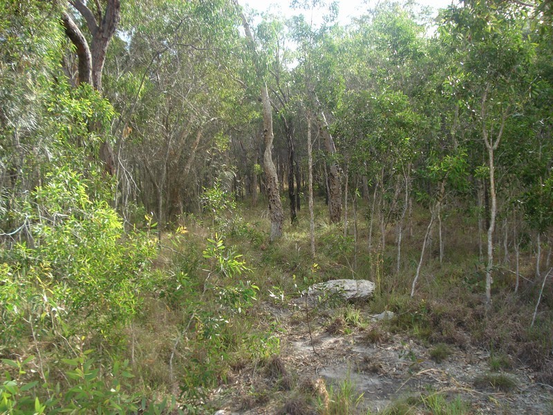 Agnes Water QLD 4677