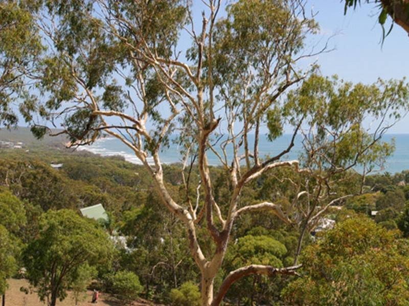 15 Gibbons Court, Agnes Water QLD 4677