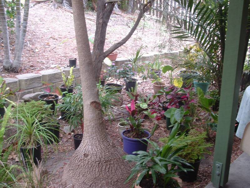 1/173 Sunlover Avenue, Agnes Water QLD 4677