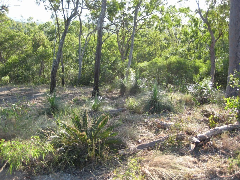 Agnes Water QLD 4677