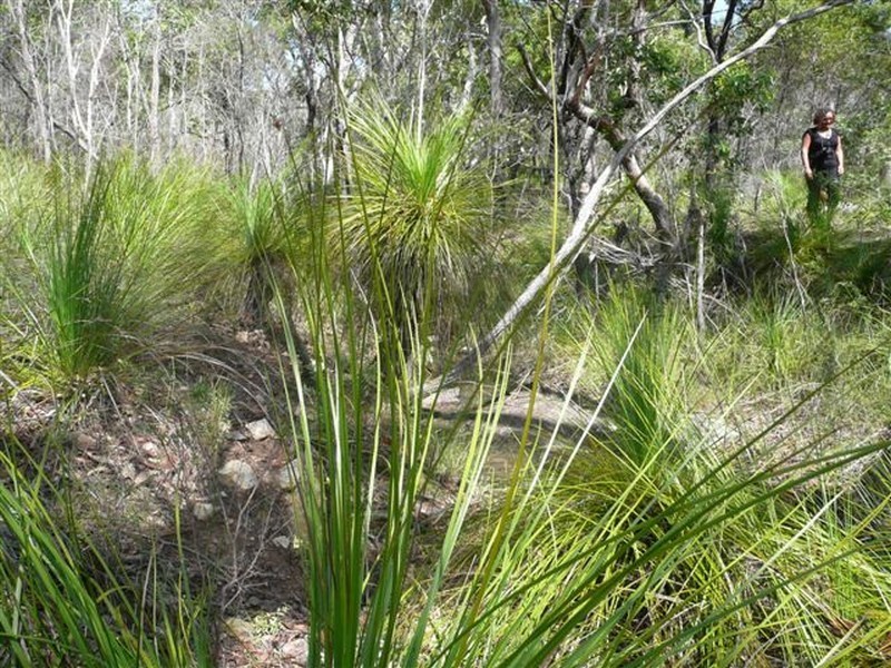 Agnes Water QLD 4677