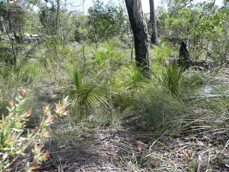 Agnes Water QLD 4677