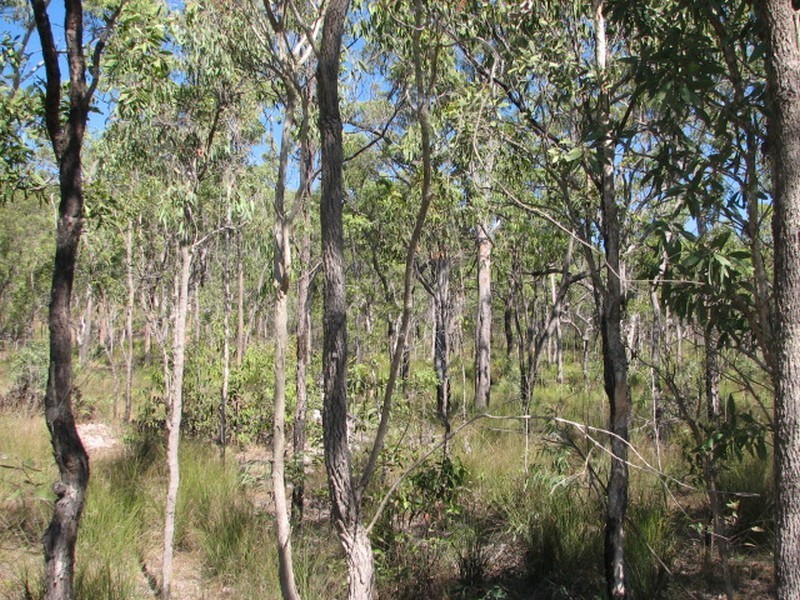 Agnes Water QLD 4677