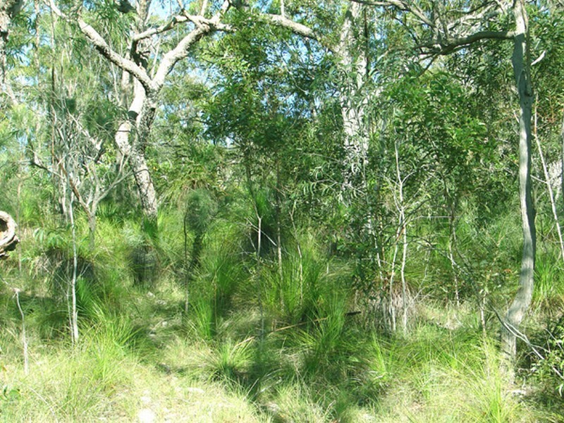 Agnes Water QLD 4677