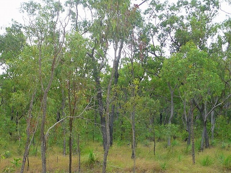 240 Creevey Drive, Agnes Water QLD 4677