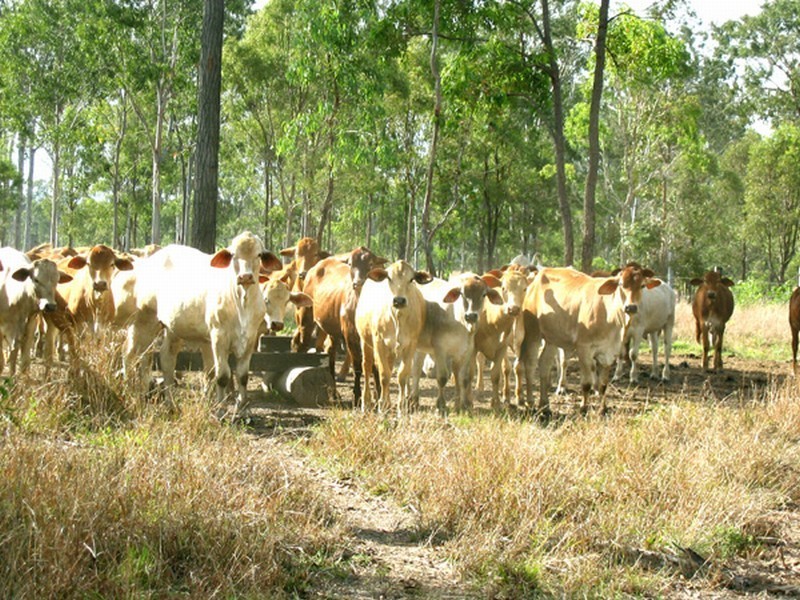 Agnes Water QLD 4677
