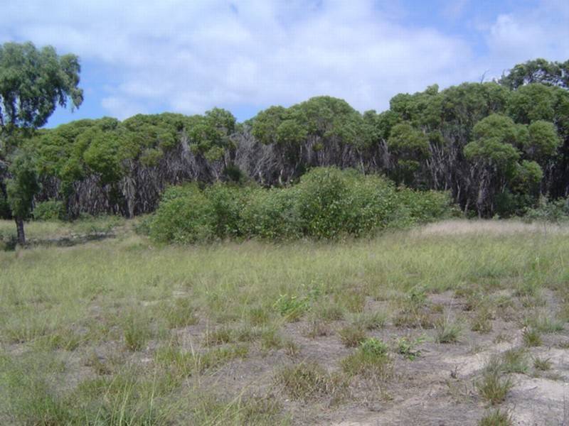 Agnes Water QLD 4677