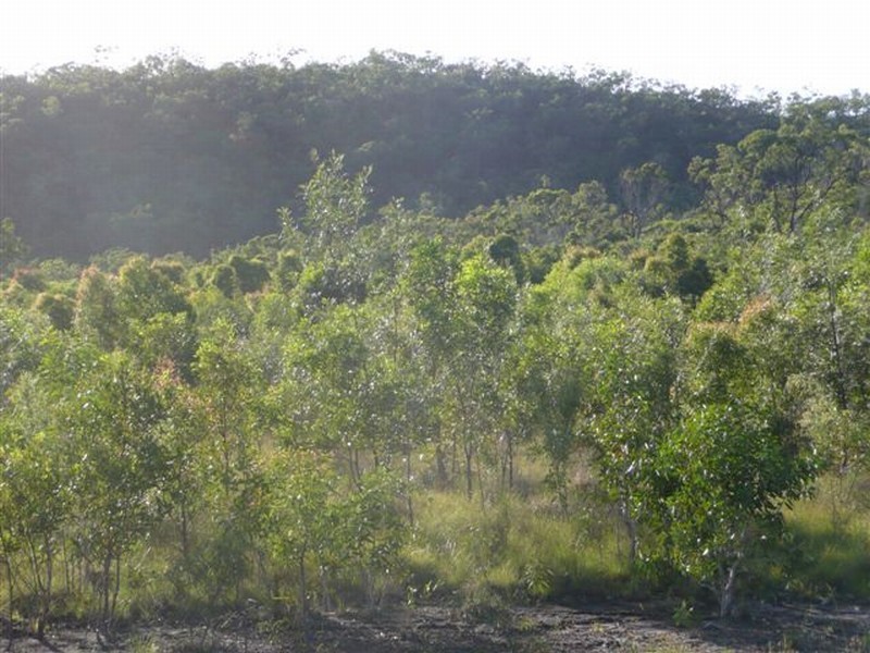 Agnes Water QLD 4677