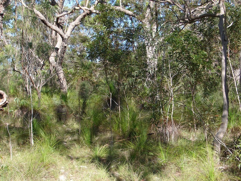 Agnes Water QLD 4677