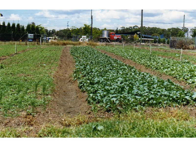 Marsden Park NSW 2765