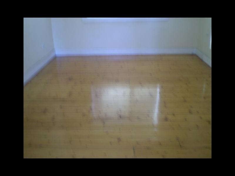 6 Peters Street, Blacktown NSW 2148