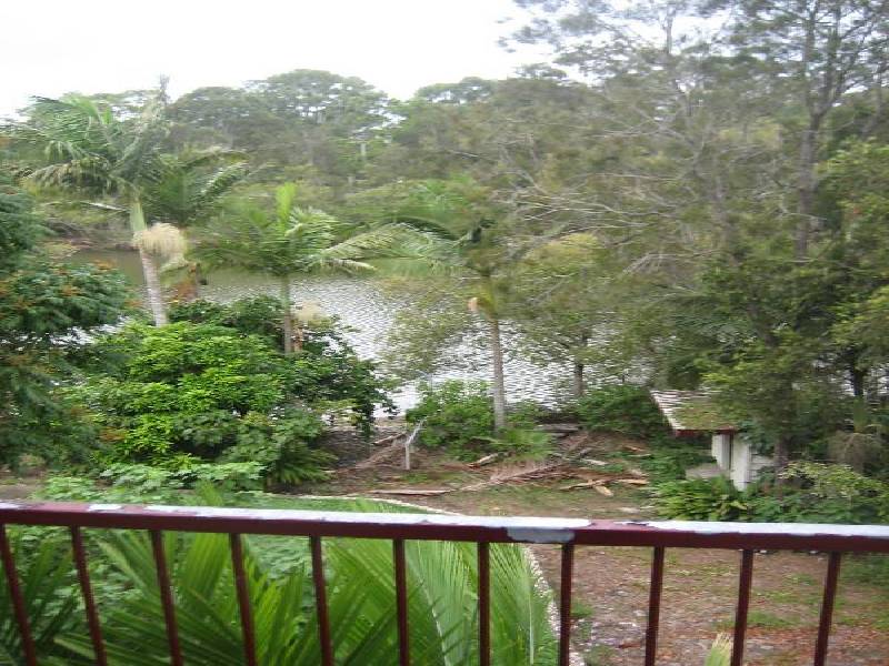 50 Tallebudgera Creek Road, Tallebudgera QLD 4228