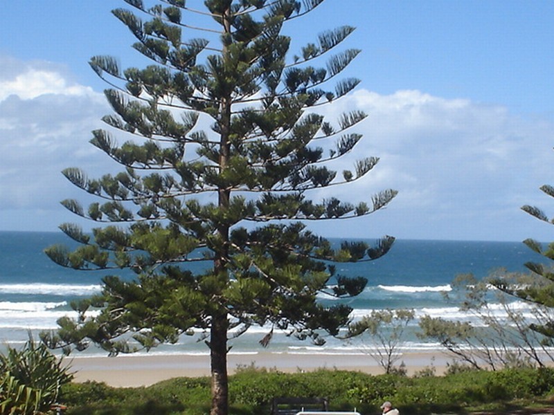unit 3 La Ronde – 7 Pacific Parade, Yamba NSW 2464