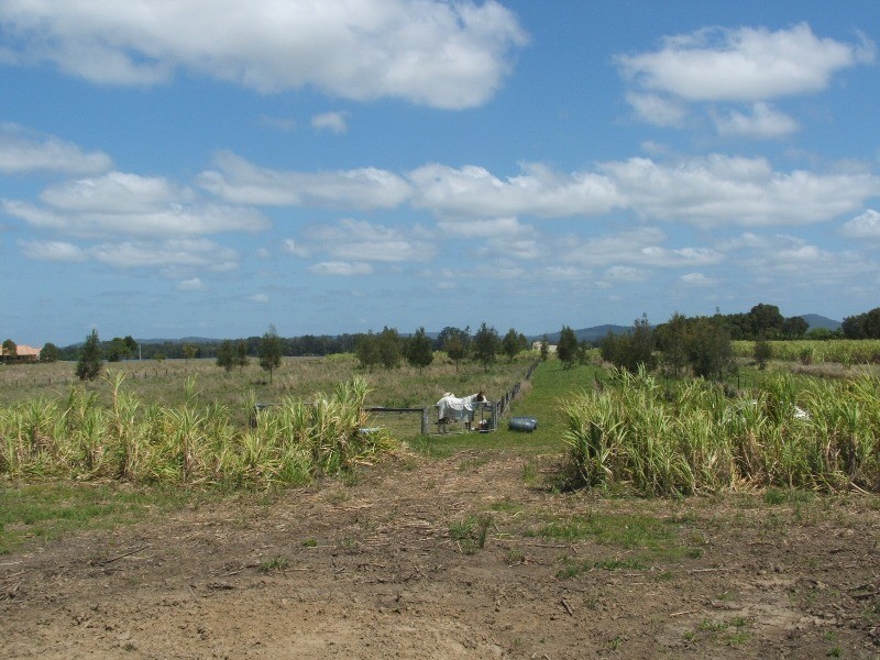 Palmers Island NSW 2463