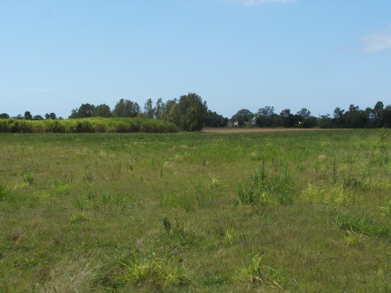 Palmers Island NSW 2463