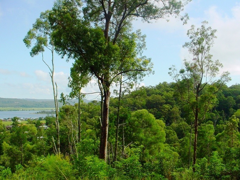 Maclean NSW 2463