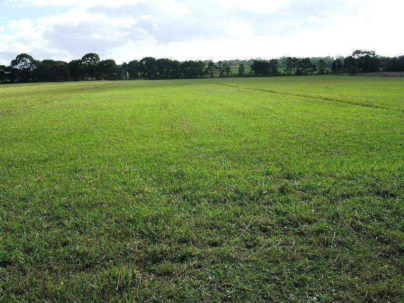 James Creek NSW 2463