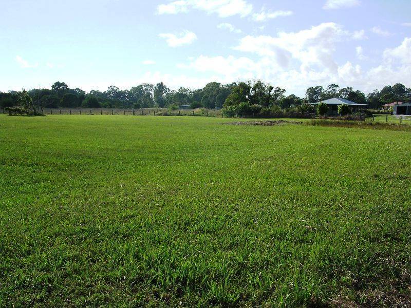 James Creek NSW 2463