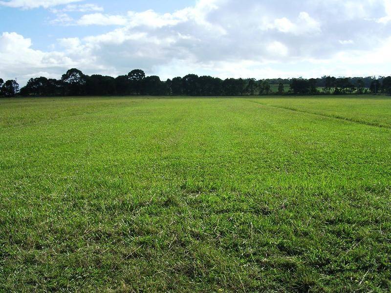 James Creek NSW 2463