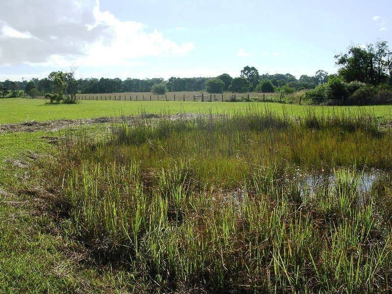 James Creek NSW 2463