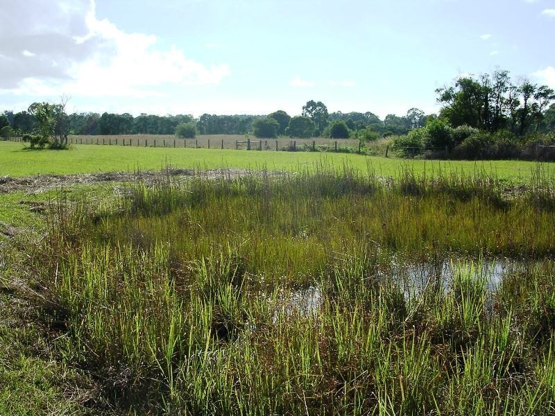 James Creek NSW 2463