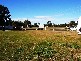 58 Spenser St, Iluka NSW 2466