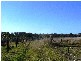 35 Dwyer’s Lane, Palmers Island NSW 2463