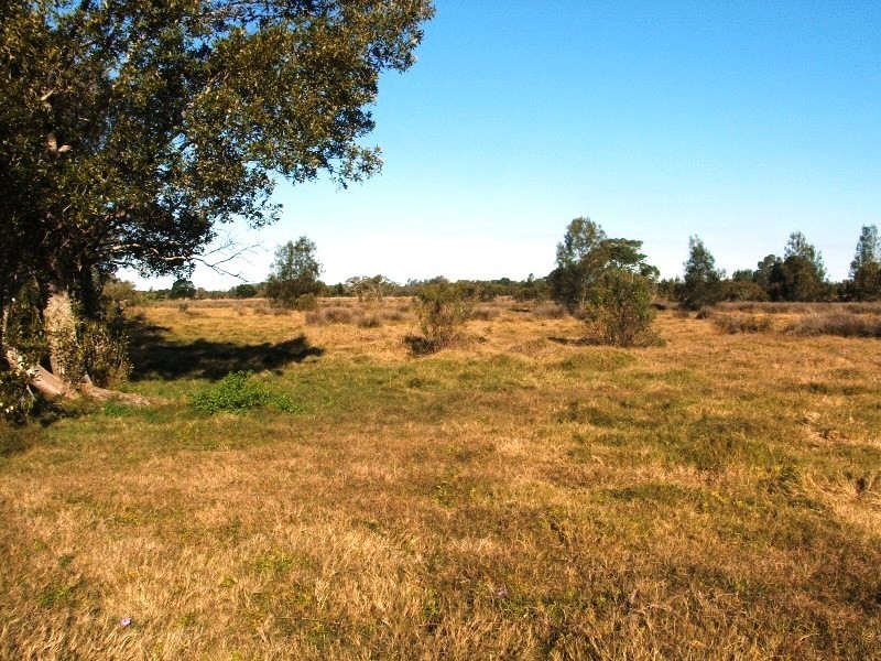 35 Dwyer’s Lane, Palmers Island NSW 2463