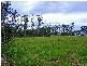 Woombah NSW 2469
