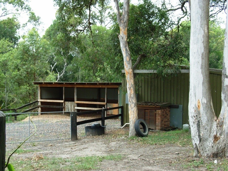 James Creek NSW 2463