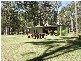 650 Jackybulbin Road, Jacky Bulbin Flat NSW 2463