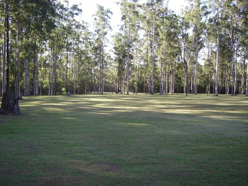 650 Jackybulbin Road, Jacky Bulbin Flat NSW 2463
