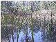 650 Jackybulbin Road, Jacky Bulbin Flat NSW 2463