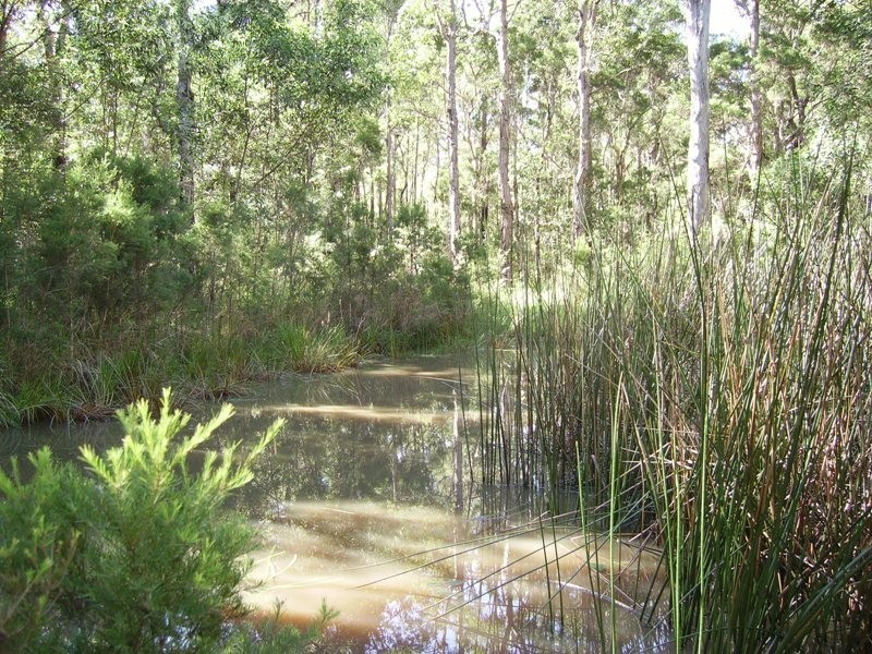 650 Jackybulbin Road, Jacky Bulbin Flat NSW 2463