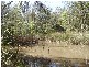 650 Jackybulbin Road, Jacky Bulbin Flat NSW 2463