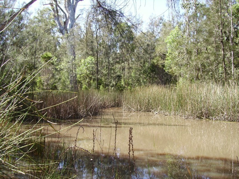 650 Jackybulbin Road, Jacky Bulbin Flat NSW 2463