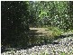 650 Jackybulbin Road, Jacky Bulbin Flat NSW 2463
