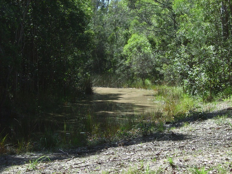 650 Jackybulbin Road, Jacky Bulbin Flat NSW 2463