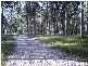 650 Jackybulbin Road, Jacky Bulbin Flat NSW 2463