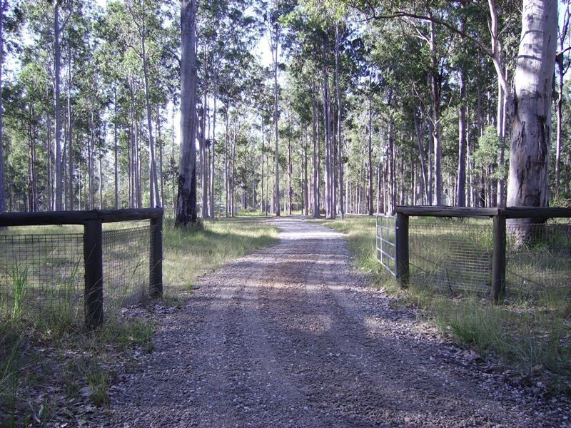 650 Jackybulbin Road, Jacky Bulbin Flat NSW 2463
