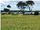 Yamba NSW 2464