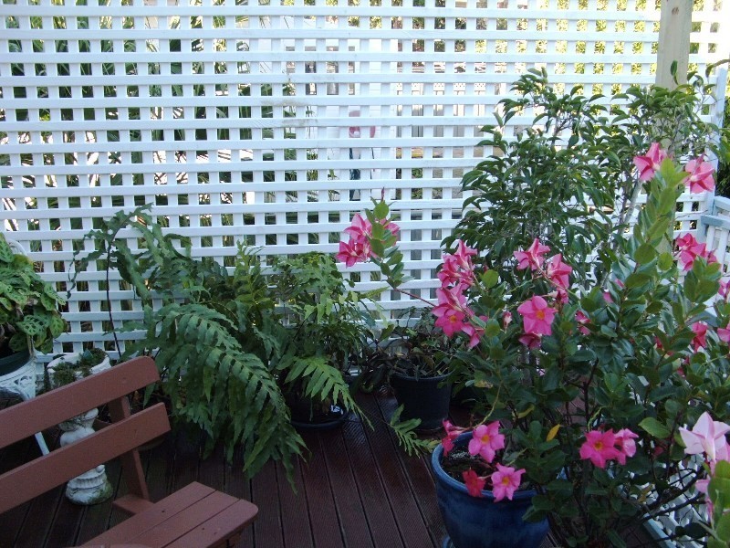22 Beach Street, Yamba NSW 2464