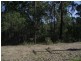 Woombah NSW 2469