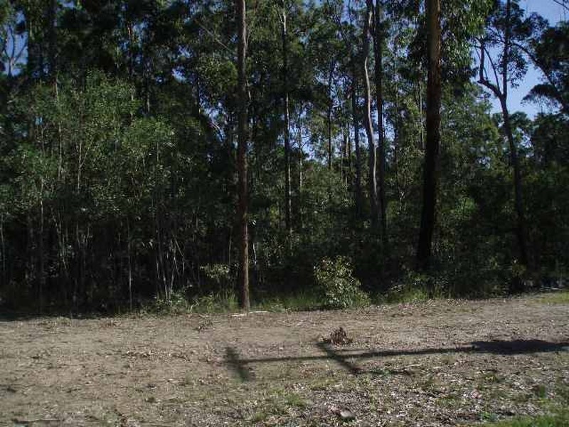 Woombah NSW 2469