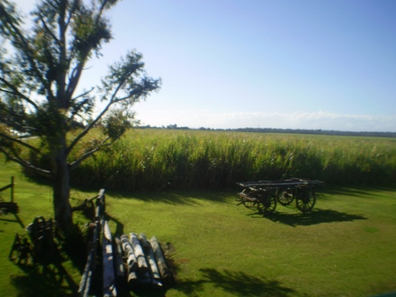 Maclean NSW 2463